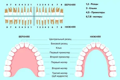 Лечение периодонтита в Воронеже