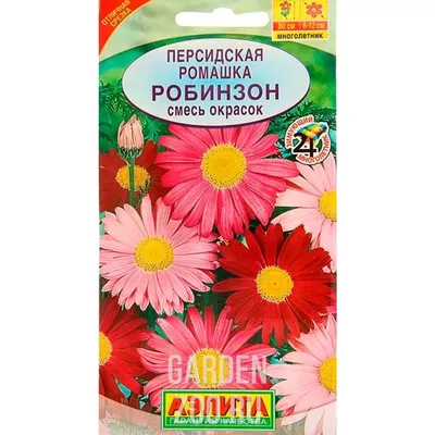 Персидская ромашка Робинзон смесь купить в Пензе цена 29 руб.|Зеленый дом