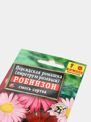 Персидская ромашка Робинзон, смесь окрасок (семена) цветы | AliExpress