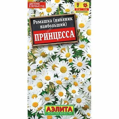 Персидская ромашка Робинзон Аэлита – купить за 29 ₽ | Агромагистраль