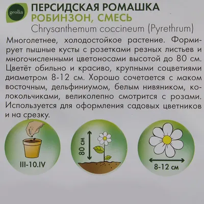 Что буду сажать к розам и не только. Семена цветов: и знакомых и необычных  | В свободное от работы время | Дзен