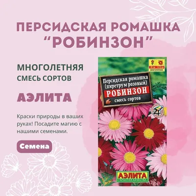 Ромашка Агрофирма Аэлита ромашка - купить по выгодным ценам в  интернет-магазине OZON (825388281)