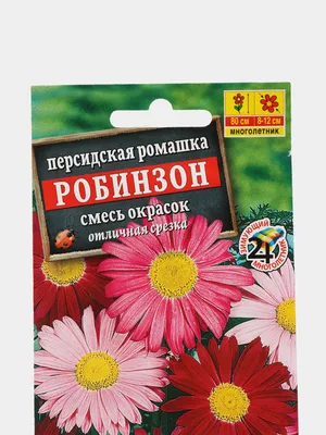 Персидская ромашка Робинзон, смесь окрасок (семена) цветы купить по цене 45  ₽ в интернет-магазине KazanExpress