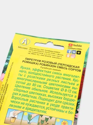 Нивяники, Нивяник (Ромашка луговая) Агрофирма Аэлита аст - купить по  выгодным ценам в интернет-магазине OZON (1017829759)