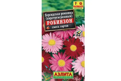 Персидская ромашка АЭЛИТА Робинзон, смесь окрасок Мн, 0,2г 00-00571692 -  выгодная цена, отзывы, характеристики, фото - купить в Москве и РФ