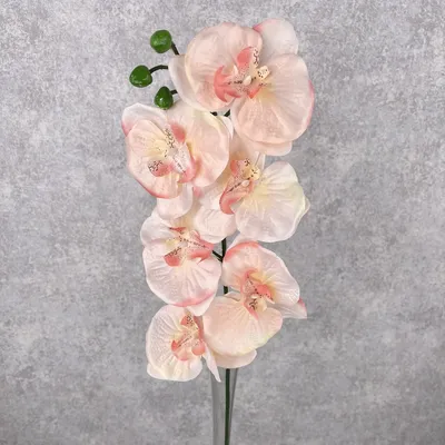 Искусственные орхидеи персикового цвета. Искусственные орхидеи оптом