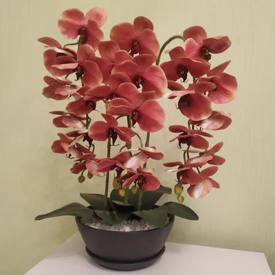 ᐉ Искуственная латексная орхидея VIP в керамическом кашпо цвета антрацит на  три ветки Персиковый (О3КГ12041403)