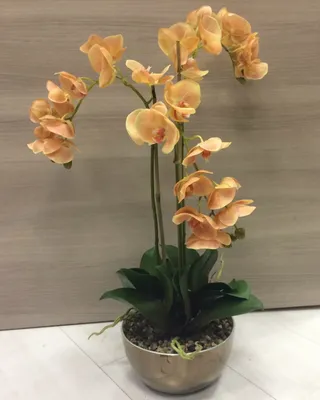 Персиковые орхидеи LUX (3шт.) в бронзовой вазе-чаше Н65 D28см