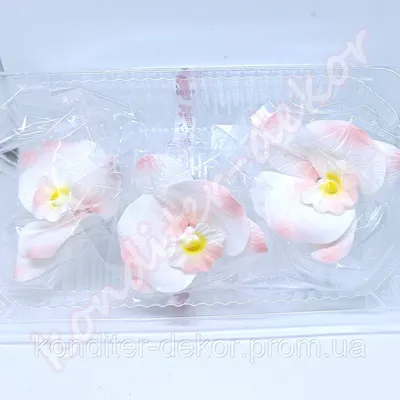 Обруч с тропическими цветами \"Персиковая орхидея с розами и бутонами\"  (ID#511212907), цена: 850 ₴, купить на Prom.ua