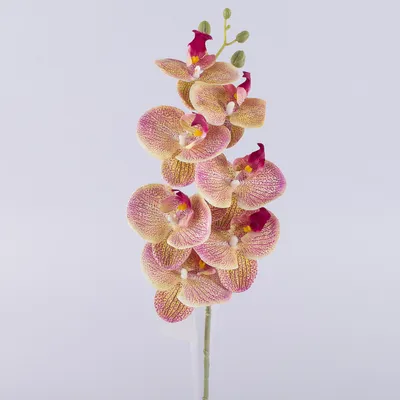 Сырая акварель, милая свежая розово-…» — создано в Шедевруме