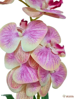Цветок искусственный декоративный Орхидея Фаленопсис, 124 см, персиковый,  16-0073 в Москве: цены, фото, отзывы - купить в интернет-магазине Порядок.ру