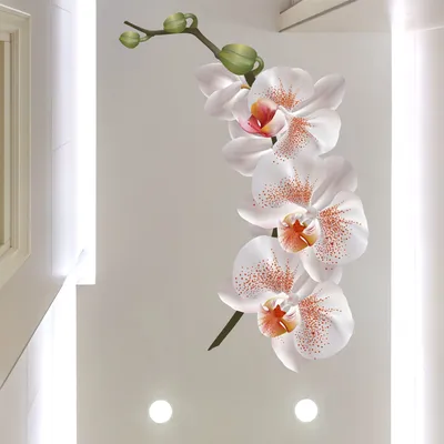 Виниловая наклейка на стол Ветка Персиковая орхидея самоклейка пленка ПВХ  600х1200мм цветы Оранжевый (ID#1357994139), цена: 300 ₴, купить на Prom.ua