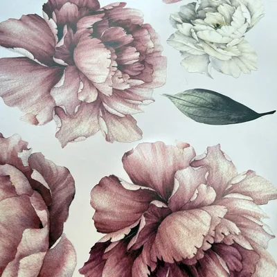 Пионы: микс из белых и розовых пионов с листьями эвкалипта по цене 12329 ₽  - купить в RoseMarkt с доставкой по Санкт-Петербургу