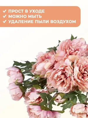 Пионы персиковые , искусственные цветы. — купить в интернет-магазине по  низкой цене на Яндекс Маркете