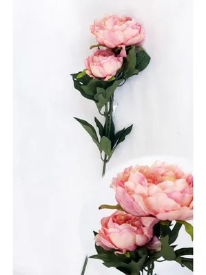 Пион 3 цветка 74 см цвет персиковый (9-645 перс) - купить по оптовым ценам