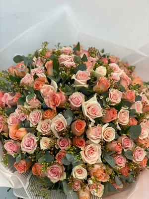 Купить Персиковые розы 39ш в Москве недорого с доставкой