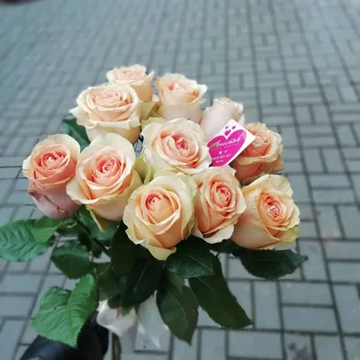 Букет из 15 персиковых роз – купить с доставкой в Москве по низкой цене