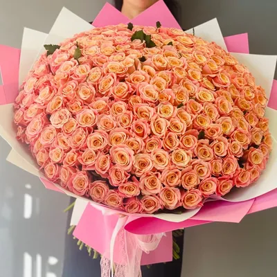 Букет из 51 розы \"Персиковые розы\", артикул: 200504 в интернет магазине  EnjoyFlowers.ru ❀ с доставкой по Москве