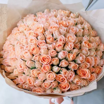 Купить букет из 151 персиковой розы 70 см по доступной цене с доставкой в  Москве и области в интернет-магазине Город Букетов