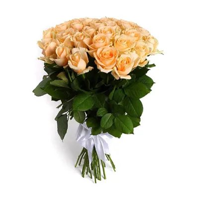 101 персиковая роза – купить с бесплатной доставкой в Москве