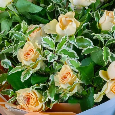 Букет 101 персиковая роза №5905 - Pion Store