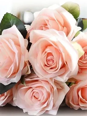 eliteinspirations-events.com | Beautiful roses, Rose flower, Amazing flowers