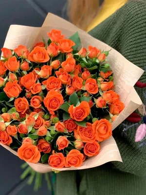 Купить Розы пионовидные персиковые в Москве за 240 руб. | Быстрая доставка  цветов