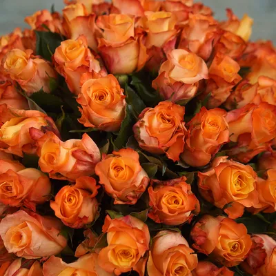 Персиковые розы в шляпной коробке за 3625 ₽ с доставкой по Саратову