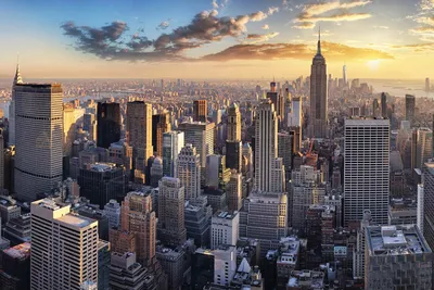 Впервые в США: как в Нью-Йорке появились первые елочные рынки