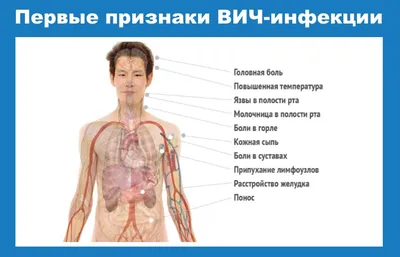 СПИД и ВИЧ: как передается, симптомы, в чем разница | РБК Стиль