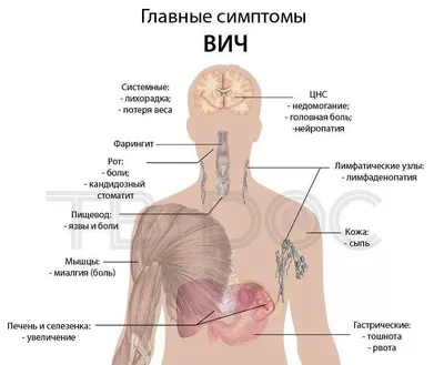 Генитальный герпес – симптомы, причины, диагностика и лечение у женщин и  мужчин в клинике «Будь Здоров»