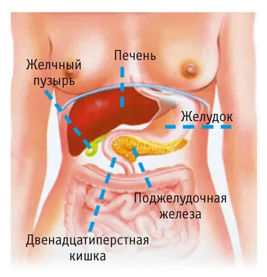 ВИЧ-инфекция: проявления в области рта при СПИДеDENTALMAGAZINE.RU