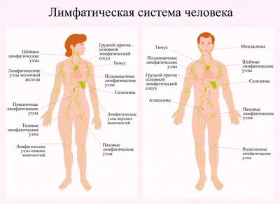 ВИЧ-инфекция