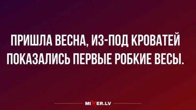 Первый день весны - Праздники сегодня