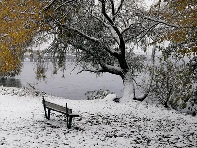 Фото первого снега: Первый шаг к зимним приключениям