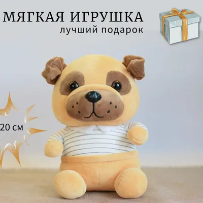 Песик Мичи (3,5 года, Москва) - Фонд помощи животным \"Всем Миром\"