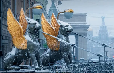 Санкт-Петербург зима 2023