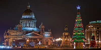 Санкт-Петербург зимой: как отметить Новый год и что посетить? | Петербург 24