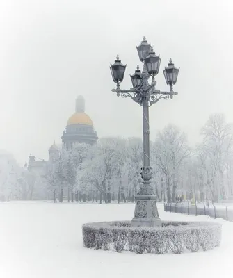 Санкт-Петербург зимой — 341 фото