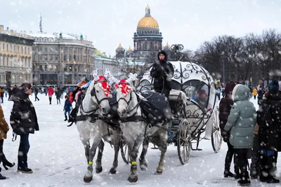 10 причин приехать в Петербург зимой: путешествие в Санкт-Петербург зимой -  13 декабря 2021 - НГС
