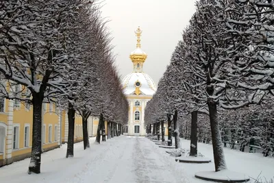Петергоф зимой - что посмотреть, стоит ли посещать, как работают фонтаны,  музеи, парки