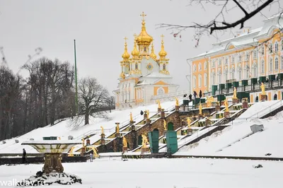 Петергоф зимой