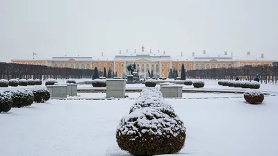 Зимний Петергоф | Пригороды Петербурга