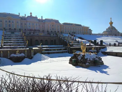 🥗РЕЦЕПТЫ ⚒️СТРОЙКА 🏡ДЕРЕВЕНСКАЯ ЖИЗНЬ on Instagram: \"Мы долго думали,  стоит ли ехать в Петергоф зимой, но в итоге решились, так как это была моя  маленькая мечта, я очень хотела побывать в этом