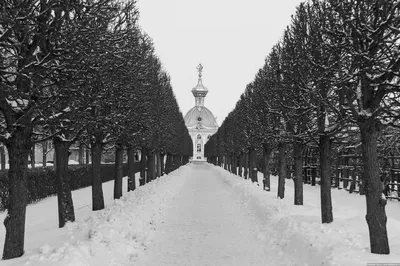 Петергоф зимой. | Скучающая старушка | Дзен