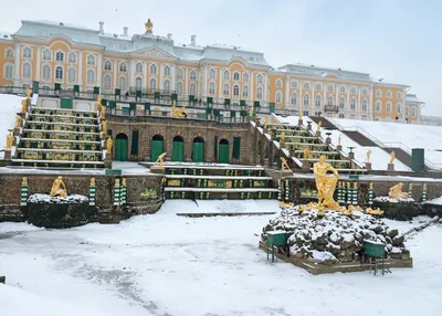 Где фотографироваться в Петергофе?. Фотограф в Петергофе