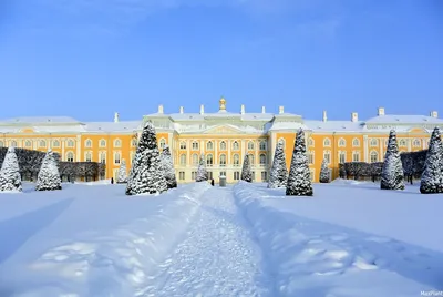 Музей-заповедник Петергоф зимой — Петергоф.Онлайн