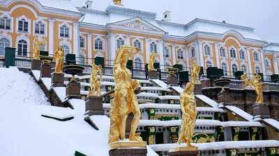 Петергоф зимой - что посмотреть, стоит ли посещать, как работают фонтаны,  музеи, парки