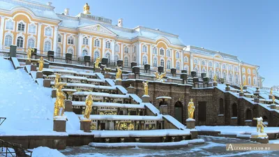 Большой петергофский дворец / Государственный музей-заповедник \"Петергоф\"