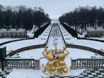 ГМЗ \"Петергоф\". The Peterhof Museum Reserve - Что делать в Петергофе зимой?❄️  ⚡️Гулять. Нижний парк, Верхний сад, парки Александрия и Ораниенбаум открыты  каждый день. ⚡️Кататься на лыжах. Это можно сделать в парке